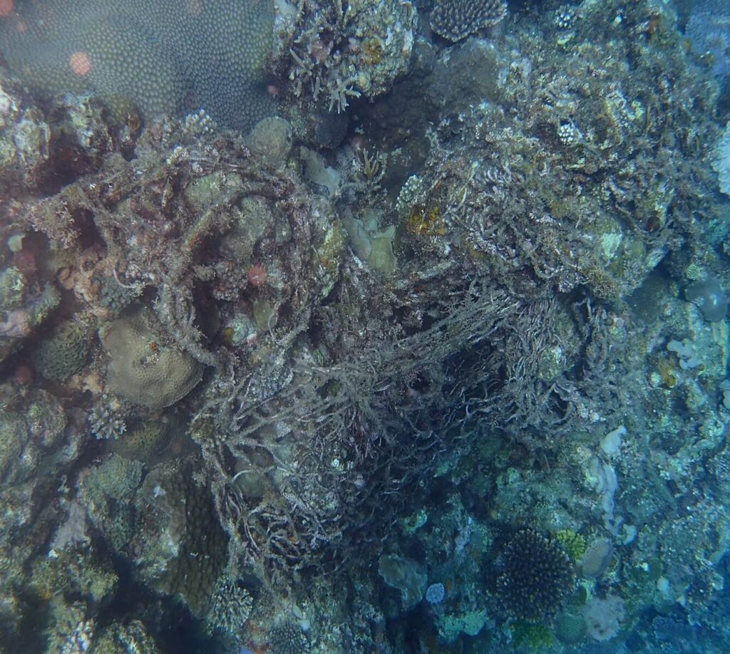 Plastic pollution of coral reefs